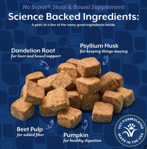 NaturVet No Scoot 60 Soft Chews