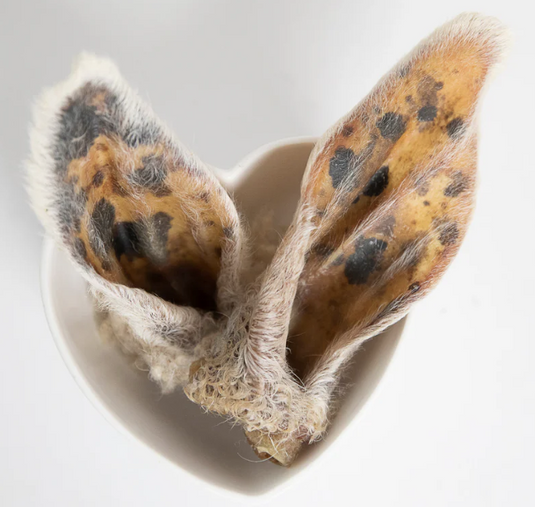Grand Valley Lamb Ear with Hair
