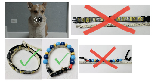 Furrybeads Collar 26 - Dino