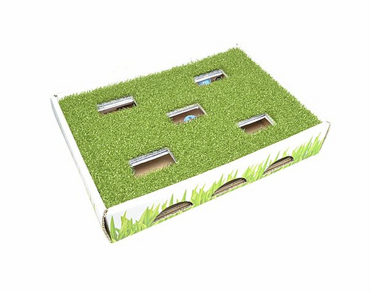 Petstages Cat Grass Patch Hunting Box