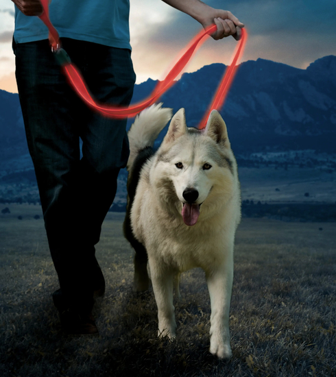 Nite Ize NiteDog Rechargeable LED Leash