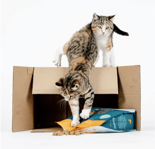 Green Juju Duck & Sardine Freeze Dried 14oz