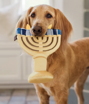 PLAY Paw-nukkah Menorah