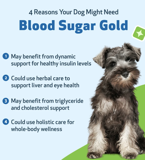 Pet Wellbeing Blood Sugar Gold