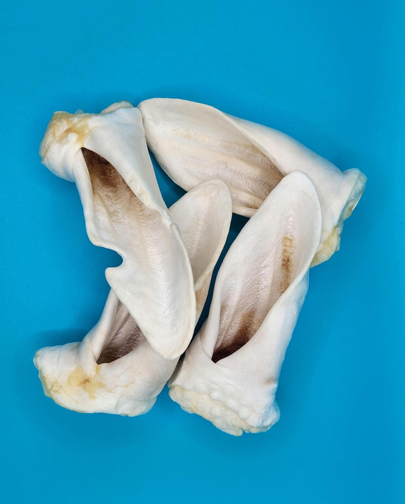 Load image into Gallery viewer, Puffed Lamb Ear
