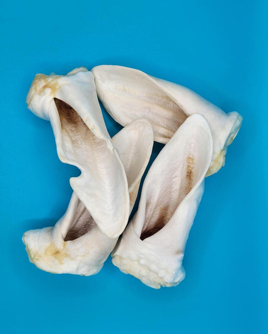 Puffed Lamb Ear