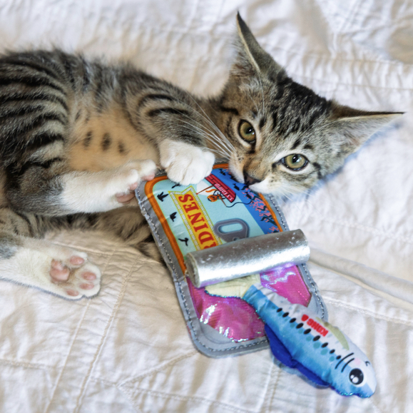 Load image into Gallery viewer, Kong Crackles Sardine Cat Toy
