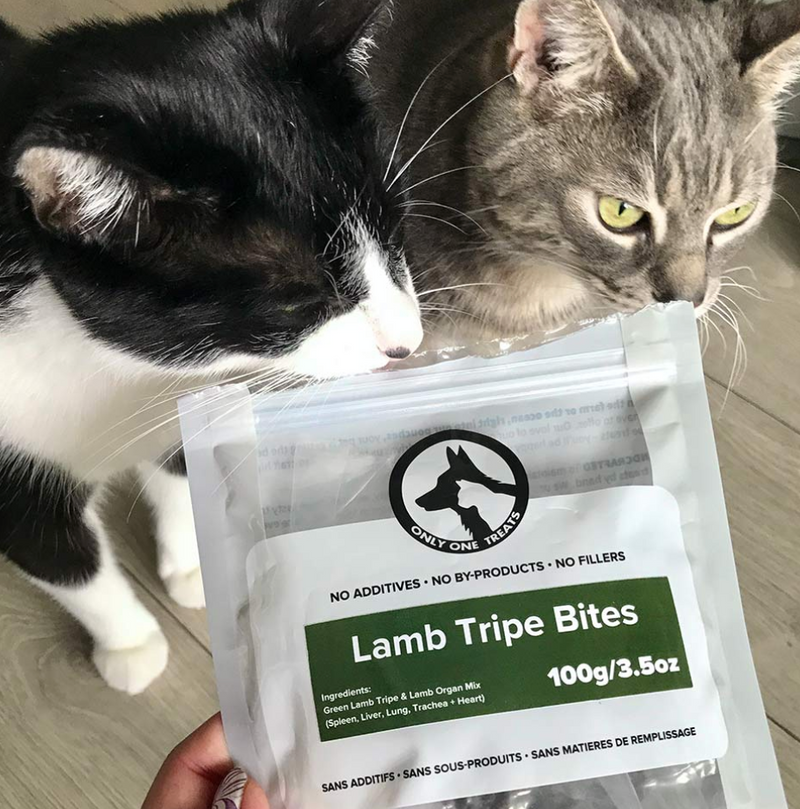 Load image into Gallery viewer, Only One Treats Lamb Tripe Bites 100g
