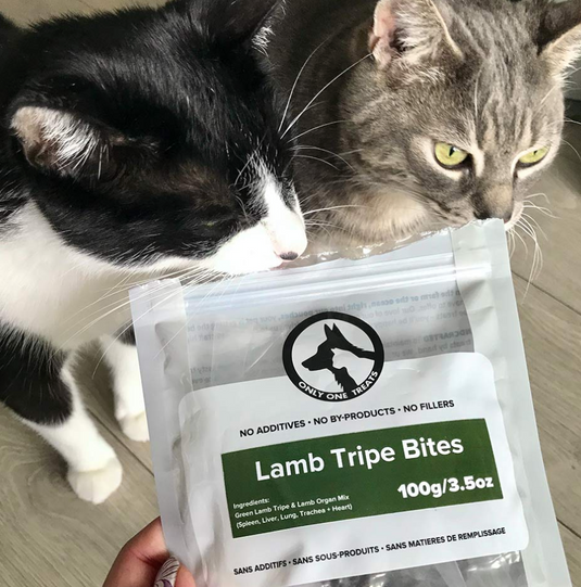 Only One Treats Lamb Tripe Bites 100g