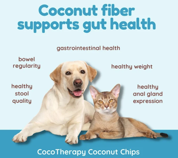 Load image into Gallery viewer, CocoTherapy Coconut Chips 6oz
