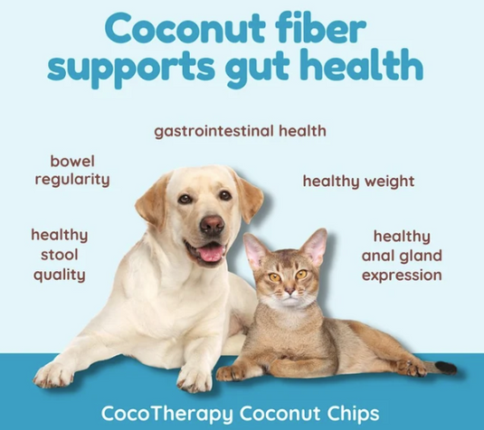 CocoTherapy Coconut Chips 6oz