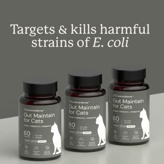 Animal Biome Gut Maintain for Cats 60ct