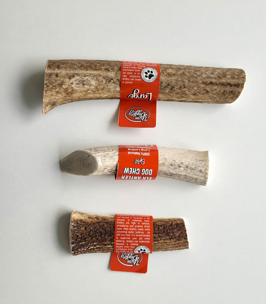 Yum Diggity Split Elk Antler