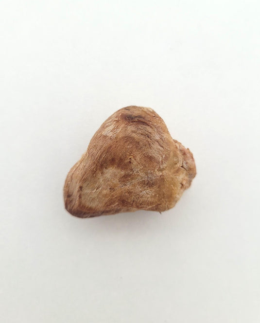 Vital Essentials Duck Heart - Discover Dogs