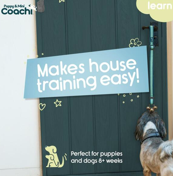 Load image into Gallery viewer, Coachi Puppy &amp; Mini Toilet Bells Teal &amp; Mint
