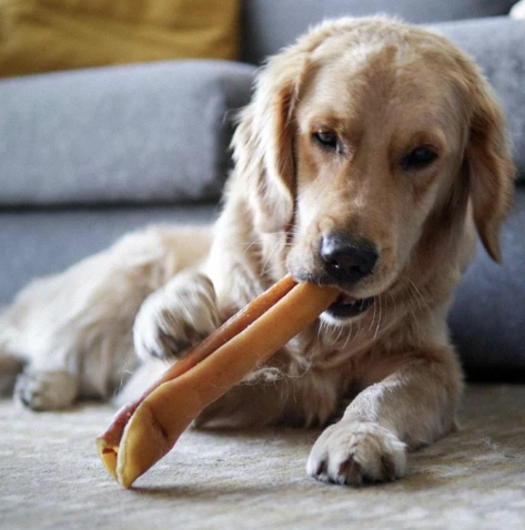 Only One Treats Pork Skin Roll 10+''