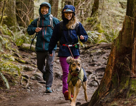 Ruffwear Hitch Hiker Leash