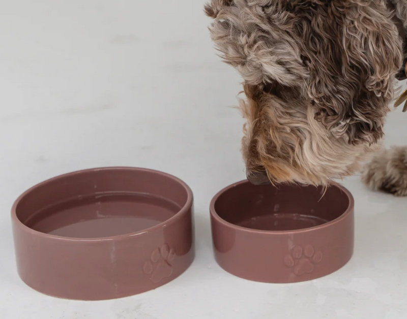 Load image into Gallery viewer, Dexypaws Dog Ceramic Bowl Blush Pink
