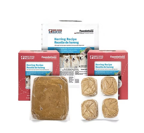 RDBK Foundations Herring - Discover Dogs
