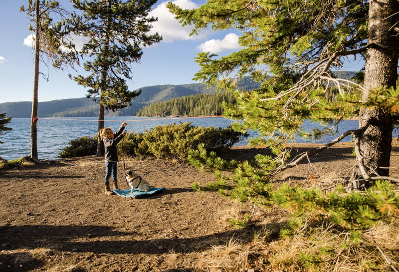 Load image into Gallery viewer, Ruffwear KNOT-A-HITCH
