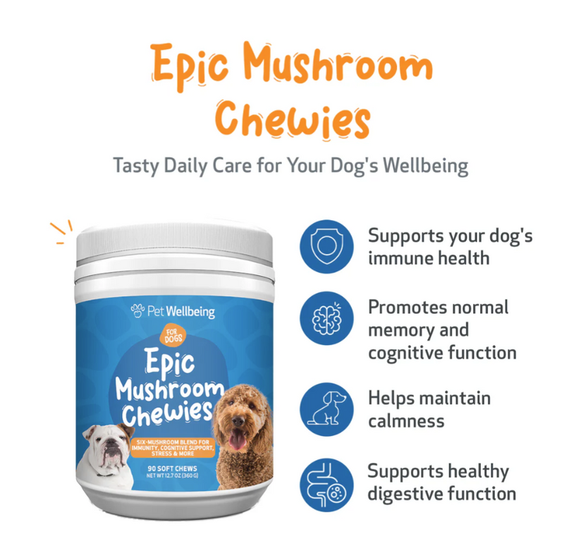 Load image into Gallery viewer, Pet Wellbeing Epic Mushroom Chewies for Immune Health and Cognitive Function in Dogs - Discover Dogs
