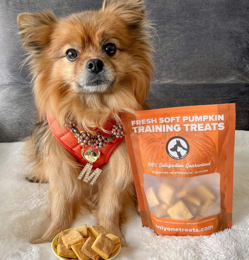 Load image into Gallery viewer, Only One Treats Fresh Soft Pumpkin Training Treats 170g
