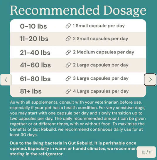 Animal Biome Gut Rebuild for Dogs 60ct - Discover Dogs