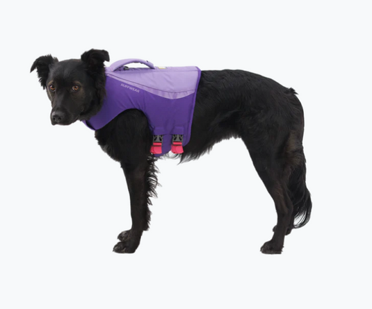 Ruffwear Float Coat Purple Lily