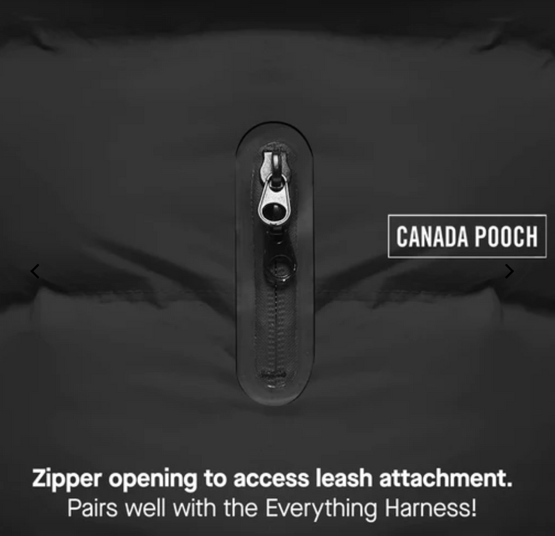 Load image into Gallery viewer, Canada Pooch The Waterproof Puffer Taupe
