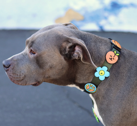 Jiby Dog Charm Peach