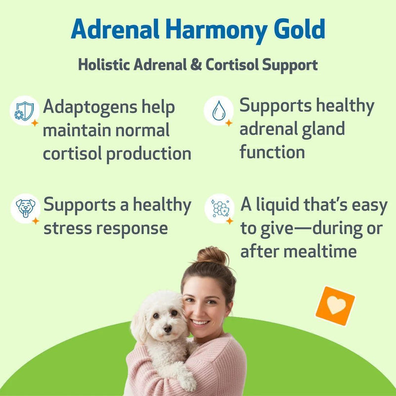 Load image into Gallery viewer, Pet Wellbeing Adrenal Harmony Gold
