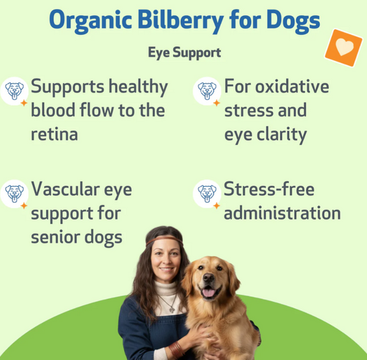 Pet Wellbeing Bilberry Supports Healthy Vision & Capillaries in Dogs - Discover Dogs