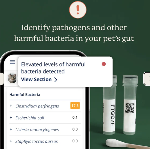 Load image into Gallery viewer, Animal Biome Gut Microbiome Health Test for Cats
