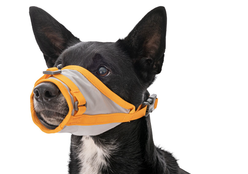Load image into Gallery viewer, Ruffwear BACKTRAK™ DOG EVACUATION KIT
