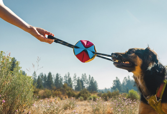 Ruffwear Webbing Remix Tug Toy Assorted