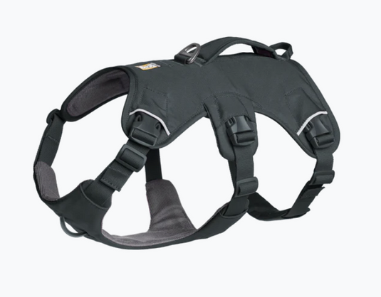 Ruffwear Web Master Basalt Gray