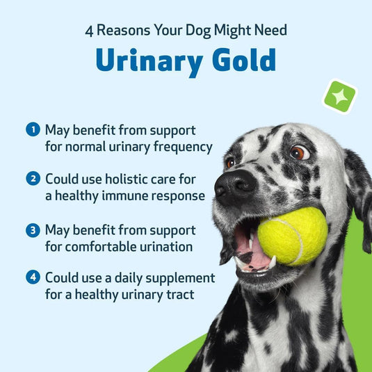 Pet Wellbeing Urinary Gold