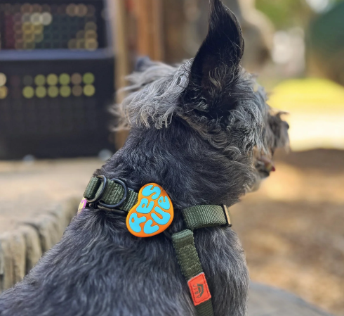 Jiby Dog Charm Orange Rescue