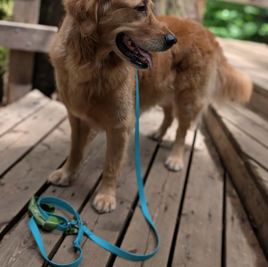 Woof & Stuff Lagoon Waterproof Longline