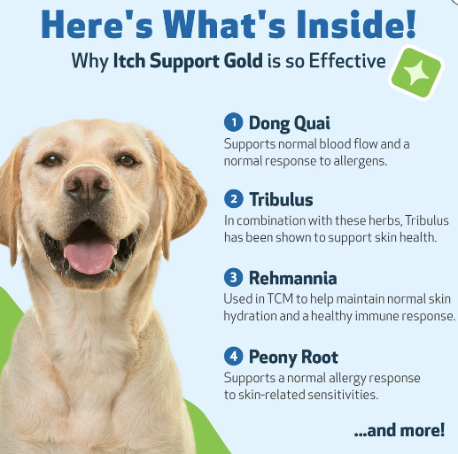 Load image into Gallery viewer, Pet Wellbeing Itch Support Gold

