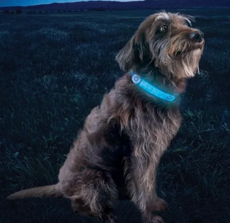 Load image into Gallery viewer, Nite Ize NiteDog Rechargeable LED Collar Cover Disc-O Select
