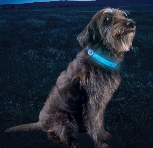 Nite Ize NiteDog Rechargeable LED Collar Cover Disc-O Select