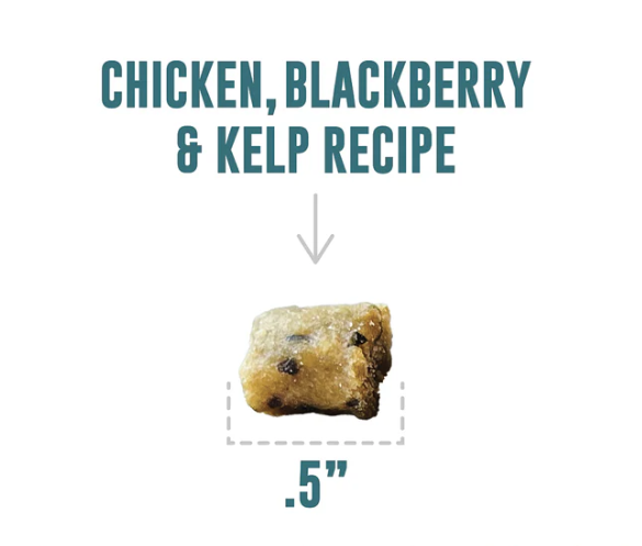 Load image into Gallery viewer, Icelandic+ Cat Soft &amp; Chewy Bites Chicken &amp; Blackberry 1.8oz
