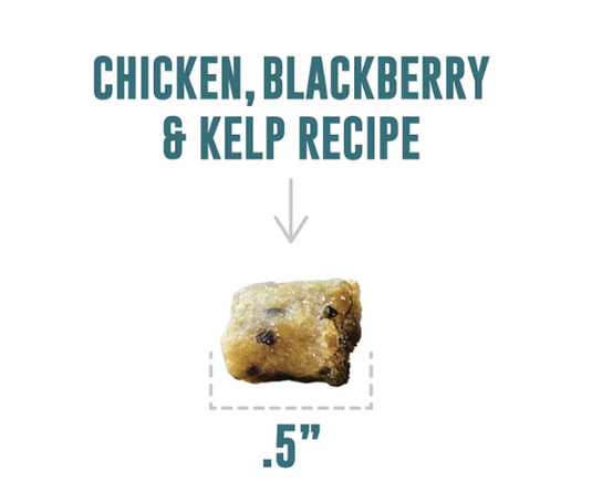 Icelandic+ Cat Soft & Chewy Bites Chicken & Blackberry 1.8oz