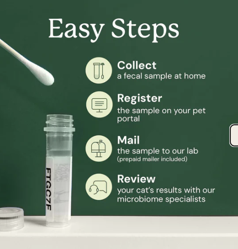 Load image into Gallery viewer, Animal Biome Gut Microbiome Health Test for Cats
