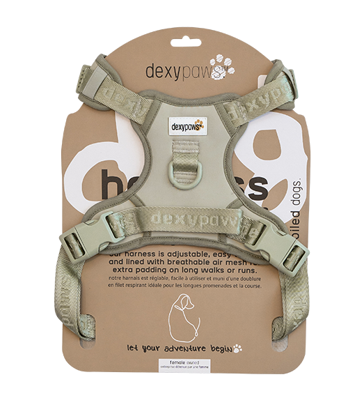 Dexypaws Dog No-Pull Harness Sage