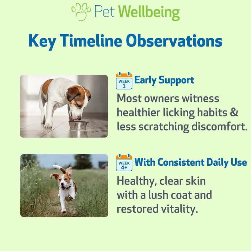 Load image into Gallery viewer, Pet Wellbeing Itch Support Gold

