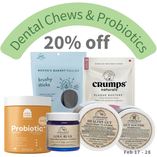 Dental Chews & Probiotics