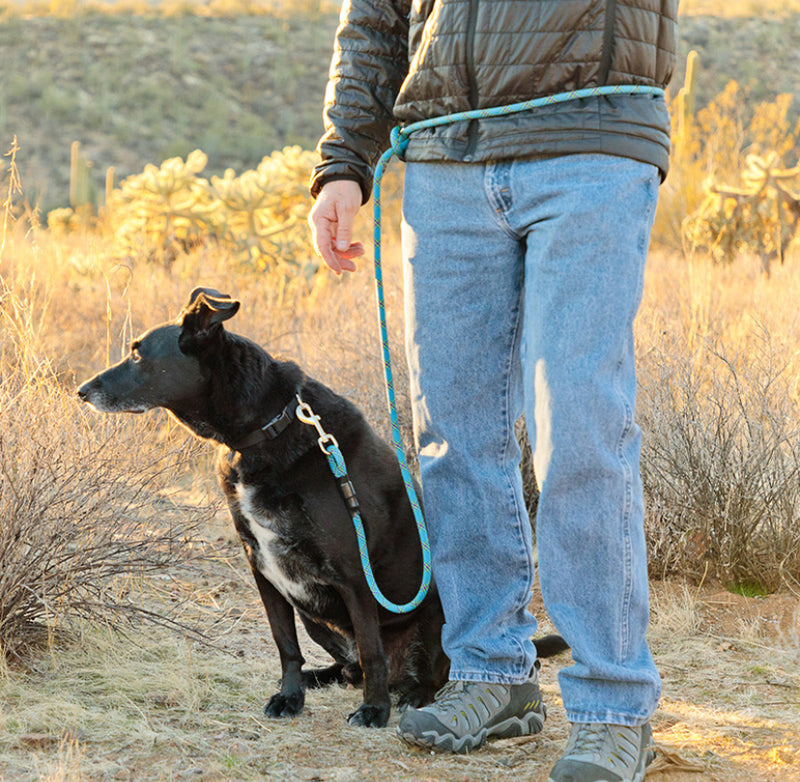 Load image into Gallery viewer, Mountain Dog Amazing Leash Versatile 7&#39; Assorted Colours
