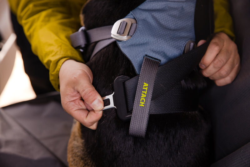 Load image into Gallery viewer, Ruffwear Load Up Car Harness
